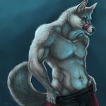  black_nose blue_eyes canine dog fur grey_fur husky licking male mammal muscles rhyu solo tongue topless undressing 
