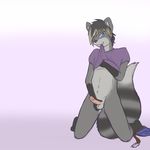  clothing erection kitazureskye male mammal penis raccoon shirt solo 