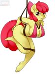  amber_eyes anthro anthrofied apple_bloom_(mlp) bdsm big_breasts biting_lip bondage bound bow bra breasts cleavage clothed clothing equine female friendship_is_magic fur hair hanging horse kloudmutt lip_bite looking_at_viewer mammal my_little_pony nipples plain_background pony red_hair rope skimpy solo swimsuit underwear white_background yellow_fur 