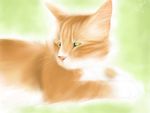  digital_art feline fluffy gen:relaxed green_eyes lexii male mammal relaxing sammy whiskers 