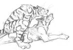  anal anal_penetration ass_to_ass blackteagan canine feline gay interspecies male mammal penetration sex tiger wolf 