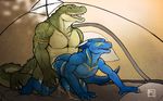  anal anal_penetration anthro balls biceps blue_dragon camping crocodile dragon duo erection from_behind gay interspecies male muscles nude pecs penetration penis reptile scales scalie sex tent tsaiwolf 