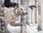  anthro avian beak birds black_body black_nose blotch canine claws feathers forest fur grey_fur invalid_color male mammal nude pose raven realistic snow snowing solo standing tree white_theme wolf yellow_eyes 