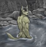  anthro back beard biceps big_muscles black_hair black_nose brown_fur butt canine dissimulated facial_hair forest fur grey_eyes hair looking_back male mammal muscles nude pecs pose river rock solo standing toned tree water wet 