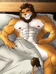  abs anthro bed biceps big_muscles blush fangs feline fur grin hair hentist lion lying male mammal mane muscles nipples nude on_back pecs pose shishimaru_genjurou smile solo teeth toned vein 