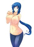  blue_eyes blue_hair breasts covered_nipples denim gundam gundam_build_fighters haganef huge_breasts iori_rinko jeans long_hair mature navel pants ponytail ribbed_sweater simple_background solo sweater turtleneck very_long_hair white_background 