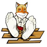  5_toes alpha_channel buttons canine clothing fox hair hindpaw liam mammal paws plain_background sitting socks soles solo thecruelseasons toes transparent_background 