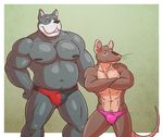  abs anthro biceps big_muscles blush bulge canine chubby clamcrusher crossed_arms dog duo ear_piercing fur great_dane hound_(character) male mammal mouse musclegut muscles nipples pecs piercing pink_clothing rodent speedo swimsuit tiptoe_(character) topless 