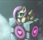  &lt;3 blue_eyes cutie_mark equine female feral fluttershy_(mlp) friendship_is_magic hair horse lying mammal my_little_pony pegasus pink_hair pony portal_(series) raikoh-illust smile solo valve weighted_companion_cube wings 