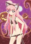  animal_ears blush bra cat_ears cat_tail fake_animal_ears full_moon halloween heika_(heikahp) jack-o'-lantern long_hair louise_francoise_le_blanc_de_la_valliere moon multiple_moons navel panties panty_pull pink_eyes pink_hair solo star_(sky) tail underwear underwear_only undressing zero_no_tsukaima 