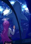  1girl absurdres alternate_hair_color aquarium aquarium_tunnel blue_archive caustics commentary_request facing_away fish from_behind hair_flaps halo highres hoshino_(blue_archive) karmanimaxwx long_hair long_sleeves pleated_skirt purple_hair school_of_fish shark shirt skirt solo very_long_hair white_halo white_shirt 