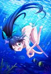  air_bubble animal antenna_hair barefoot bikini black_hair blue_eyes breasts breath bubble coral diving earrings fang fish freediving ganaha_hibiki high_ponytail highres holding_breath idolmaster idolmaster_(classic) jewelry long_hair md5_mismatch medium_breasts ocean one_eye_closed open_mouth outsider_0 ponytail side-tie_bikini smile solo submerged swimming swimsuit underwater v 