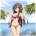  :o bikini breasts brown_hair day front-tie_top green_eyes highleg highleg_bikini highleg_swimsuit long_hair medium_breasts navel ocean original shiny shiny_skin side-tie_bikini signature sky sky_(freedom) solo strap_gap swimsuit thigh_gap very_long_hair water 