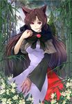  animal_ears bad_id bad_pixiv_id bamboo bamboo_forest blood blood_on_face bloody_clothes bloody_hands brooch brown_hair cibo_(killy) dress fingernails flower forest full_moon imaizumi_kagerou jewelry long_hair long_sleeves looking_at_viewer moon nature red_eyes sharp_fingernails shirt skirt smile solo tail touhou very_long_hair wide_sleeves wolf_ears wolf_tail 