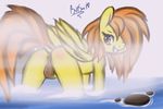  boltswift butt equine female feral friendship_is_magic horse hot_spring mammal my_little_pony pegasus pony pussy smile solo spitfire_(mlp) water wings wonderbolts_(mlp) 