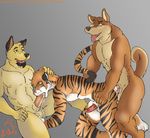 abs akita_inu_(exawolf) all_fours anal anal_penetration ball_fondling balls barbs beard bent_over biceps black_fur black_hair black_nose blue_eyes body_markings brown_fur buck_(exawolf) canine chest_tuft claws cum cum_in_ass cum_in_mouth cum_inside cum_on_balls cum_on_penis cum_string cum_while_penetrated cumshot dog doggystyle erection exawolf eyes_closed facial_hair fangs feline fellatio from_behind fur gay green_eyes gripping group group_sex hair holding humanoid_penis interspecies leaking male mammal markings muscles nipples nude open_mouth oral oral_sex orgasm pecs penetration penis pink_nose plain_background sex sheath sitting spitroast standing stripes sucking tan_fur teeth threesome tiger toe_claws tongue tongue_out tuft vein 