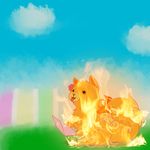  canine cute dog female fire mammal pom pom_gets_wifi pomeranian spontaneous_combustion video_games 