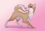  canine dog feral fur hair male mammal pink_eyes pink_hair rukifox sheath shiba_inu solo tan_fur 