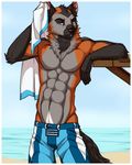  abs anthro beach biceps big_muscles black_fur black_nose blue_eyes brown_fur canine chest_tuft clothing fangs feralise fox front fur grey_fur grin looking_at_viewer male mammal multicolor_fur muscles navel pecs pose sand sea seaside shorts smile solo standing swimsuit tanner_james teeth tjkross toned topless towel tuft water wet white_fur 
