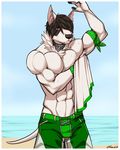  abs anthro bandanna beach biceps big_muscles black_hair black_nose bull_terrier canine chest_tuft clothing collar dark_hair dog feralise fur hair looking_at_viewer male mammal muscles peable pecs pose purple_eyes sand sea seaside shorts solo standing swimsuit toned topless towel tuft water wet white_fur 