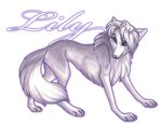  canine female feral lilly mammal wielder wolf 