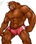  abs anthro bear biceps big_muscles black_nose boxers brown_fur bulge fur green_eyes grizzly_bear kenaihand looking_at_viewer male mammal muscles pecs plain_background pose solo standing toned topless underwear white_background 