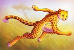  amber_eyes ambiguous_gender barefoot blur cheetah chest_tuft feline field fist fur grass hair hi_res mammal motion_blur nature neko-maya nude orange_eyes paws running side_view solo spotted_fur tree tuft yellow_fur 