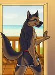  akuro anthro back back_turned biceps big_muscles black_fur black_nose brown_fur butt canine dog doorway fur german_shepherd green_eyes jockstrap looking_back male mammal muscles pecs pose presenting presenting_hindquarters rayner smile solo standing teasing thong topless underwear undressing water 