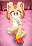  beige_skin blush breasts brown_eyes cream_the_rabbit female gloves lagomorph looking_at_viewer mammal nipples nude pussy sega shoes smile sonic_(series) unknown_artist young 