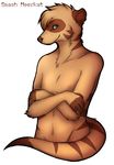  brown_hair brown_nose claws covering covering_self crossed_arms front fur green_eyes hair looking_at_viewer male meerkat mysstice nude plain_background short_hair smashmeerkat smile solo white_background 