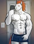  abs anthro bgn biceps boxers broncos bulge cellphone denver equine fur hair horse iphone male mammal muscles nfl nipples orange_hair pecs phone pose selfie solo standing topless underwear white_fur 