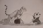  david_siegl feline kung_fu_panda mammal master_tigress panda plejman po tiger 