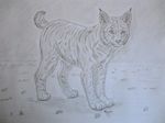  black_and_white feline feral fur grass greyscale looking_at_viewer lynx mammal monochrome paws plejman shadow simple_background sketch solo standing traditional_media whiskers 