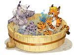  abstract_background bathtub black_fur blonde_hair blue_eyes breasts duo eyewear feline female fur glasses hair leoian leoian_(character) looking lynx male mammal necklace nude orange_fur plain_background shinobiiri stripes tomoe water white_background 