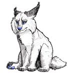  ambiguous_gender blue_eyes blue_nose ears_back feline lynx mammal monochrome octobertiger plain_background rayxray traditional_media white_background 