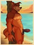 anthro areola balls beach canid canine canis clothing digital_media_(artwork) disney don_karnage erection foreskin fur genitals hi_res humanoid_genitalia humanoid_penis looking_at_viewer male mammal navel nipples nude open_mouth outdoor_nudity outside partially_retracted_foreskin pecs penis red_wolf sand seaside smile solo standing sunset tail talespin timberdonk topwear water wolf