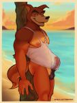 anthro areola balls beach bottomless bottomless_anthro bottomless_male canid canine canis clothed clothing digital_media_(artwork) disney don_karnage erection fur genitals hi_res humanoid_genitalia humanoid_penis looking_at_viewer male mammal nipples open_mouth outside pecs penis red_wolf sand seaside shirt shirt_only smile solo standing sunset tail talespin tank_top tank_top_only timberdonk topwear topwear_only translucent translucent_clothing translucent_shirt translucent_tank_top translucent_topwear water wolf