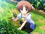  blush brown_eyes brown_hair fumio_(ura_fmo) game_cg garden gardening hoshiuta pantyhose ribbon school_uniform scissors short_hair solo suou_nanano 