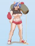  abs anthro areola big_breasts blue_background blue_hair boxer boxing_gloves breasts canine clothing dog ear_piercing equine female front fur green_eyes hair holding hoodie horn husky looking_at_viewer mammal meesh muscles muscular_female navel nipple_slip one_eye_closed piercing pink_nose plain_background pose seductive shoes short_shirt shorts simple_background smile solo standing thumbs_up under_boob unicorn white_fur wink wynter 