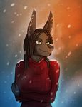  anthro anubian_jackal black_hair breasts canine clothed clothing crossed_arms dreadlocks ear_piercing female front gold green_eyes hair jackal kadath mammal nightshade nightshade_(kadath) piercing portrait snow solo sweater winter 