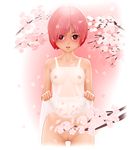 1girl acerbi blush breasts female flower looking_at_viewer nipples original pink_eyes pink_hair pussy see-through short_hair solo standing uncensored 