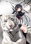  ahoge arrow black_eyes black_hair black_legwear bow_(weapon) full_moon kentaurosu kneehighs long_hair looking_at_viewer moon original quill school_uniform serafuku sitting smile solo sword tiger tree weapon white_tiger 