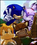  blush knockabiller_(artist) marine_the_raccoon no_humans smile sonic sonic_the_hedgehog tails_(sonic) 