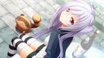  1girl animal bottle ch@r char cosmic_cute game_cg gleam_garden_no_shoujo gray_hair grey_hair long_hair outdoors purple_eyes shirayuki_(gleam_garden_no_shoujo) sitting smile solo striped striped_legwear striped_thighhighs tanuki thighhighs twintails zettai_ryouiki 