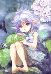  barefoot dress fairy flower hirokazu hydrangea leaf nature original pointy_ears purple_eyes short_hair silver_hair sitting water 