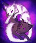  cat feline mammal neko-maya purple_eyes yin_yang 
