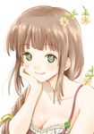  braid breasts brown_hair cleavage closed_mouth collarbone flower green_eyes kemomo long_hair medium_breasts simple_background smile solo upper_body white_background 