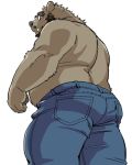 anthro beard black_hair black_nose blush clothed clothing facial_hair fur grey_fur hair jeans kumagaya_shin looking_at_viewer looking_back love_mechanic male mammal pants rear_view simple_background slightly_chubby solo tom_(lm) topless ursine white_background 