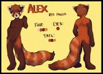  alex auburn_hair brown_fur claws english_text fur looking_at_viewer male mammal model_sheet nude orange_eyes orange_fur red_panda solo standing text toe_claws yobot young 