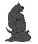  2018 american_staffordshire_terrier anthro black_body black_fur black_nipples black_nose black_sclera bodily_fluids brock_(pumadime) canid canine canis domestic_dog ear_piercing erection foreskin fur genital_fluids humanoid_penis hunting_dog kneeling male mammal muscular muscular_male nipples nude penis piercing precum pumadime simple_background solo terrier white_background yellow_eyes 